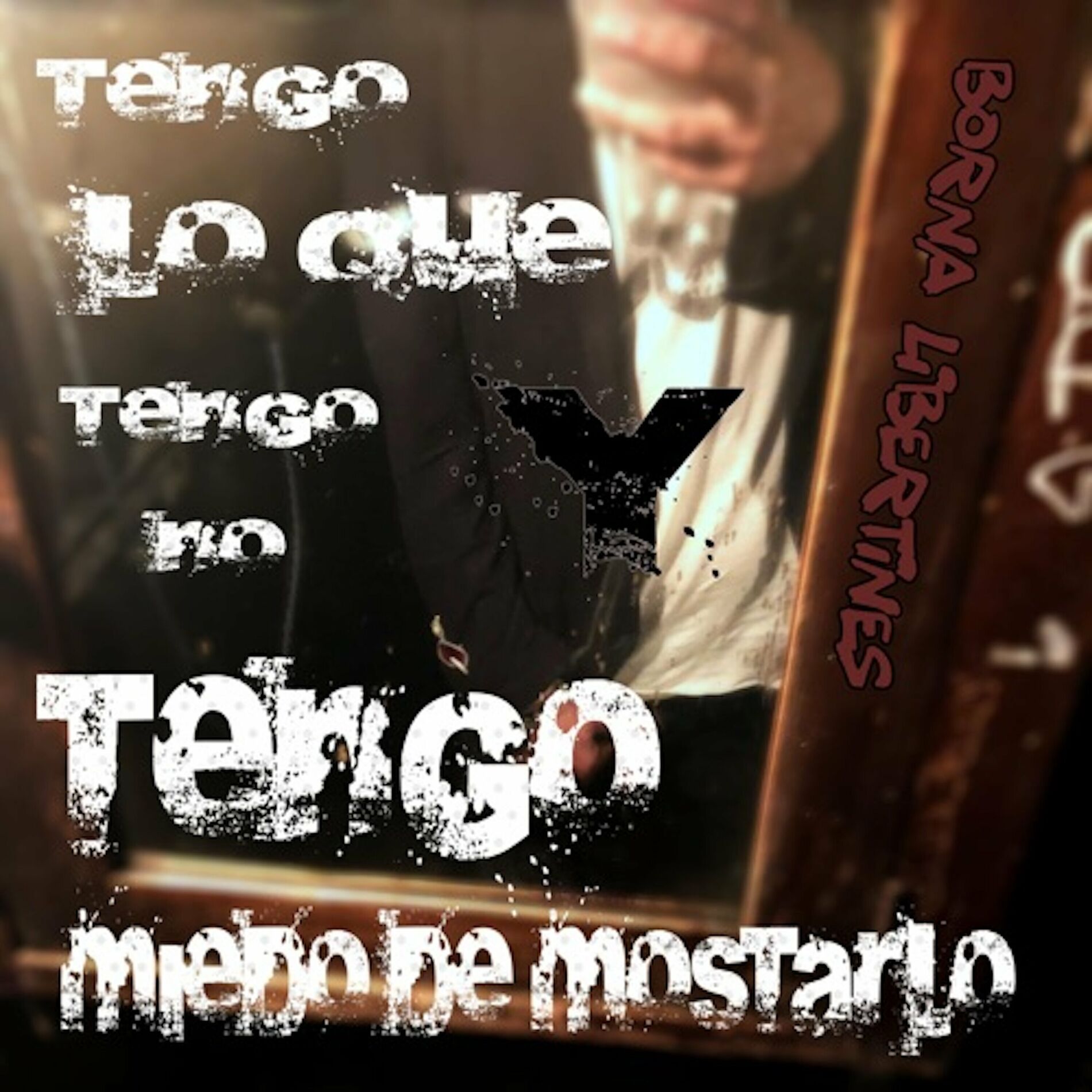 Album cover of Tengo Lo Que Tengo