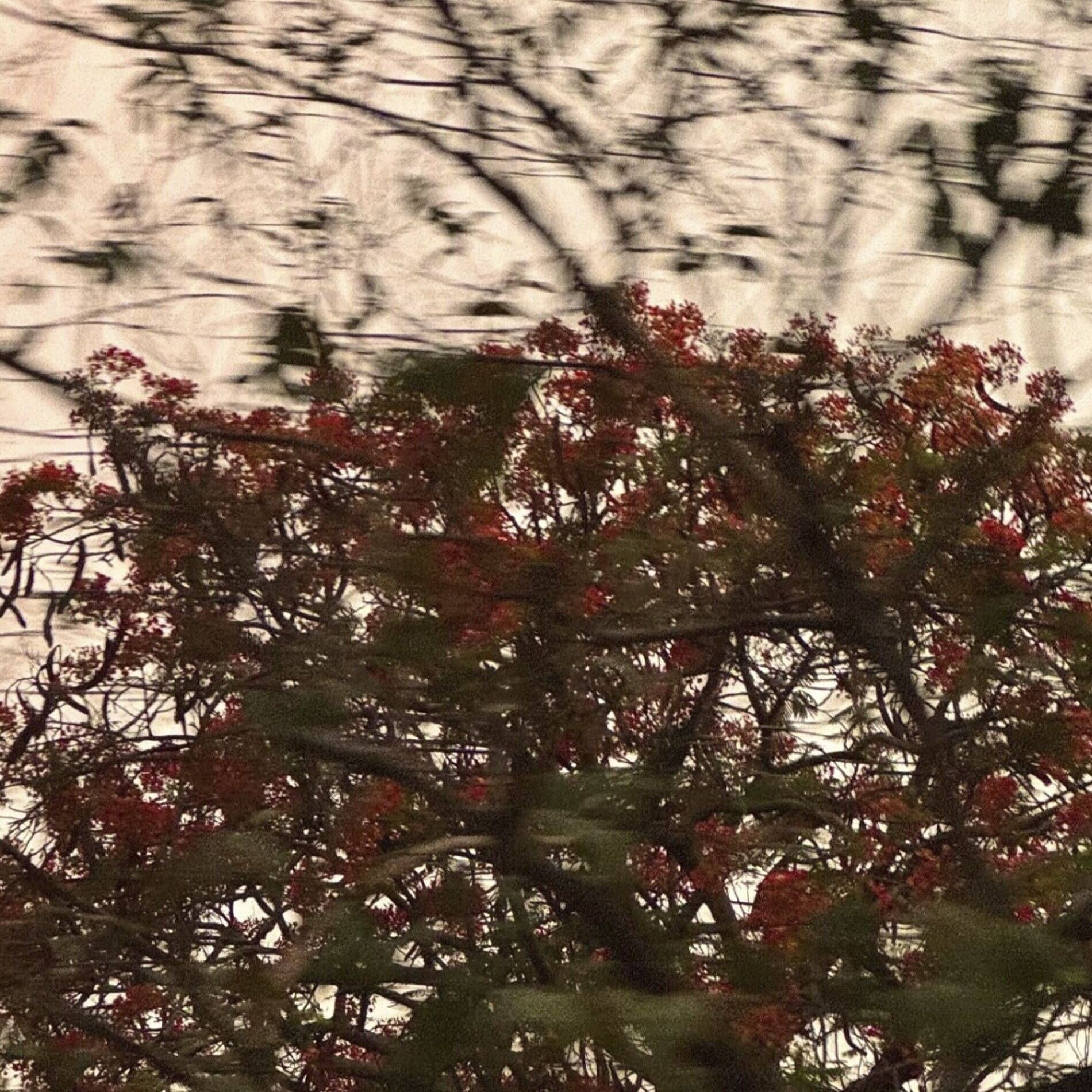 Album cover of October