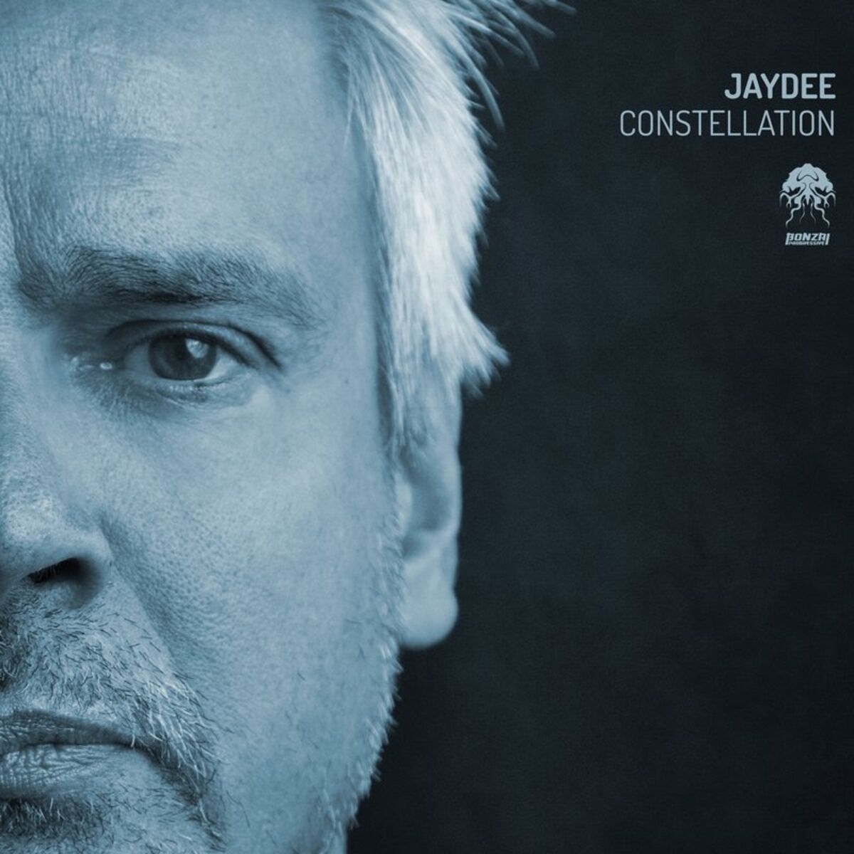 Album cover of Constellation
