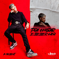 Cover of Pra Chorar e Beber Cana by undefined