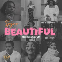 Cover of Beautiful
