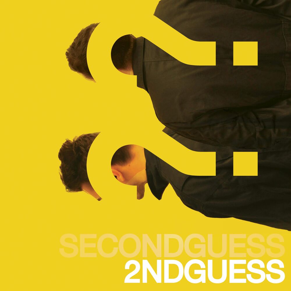 Picture of Second Guess