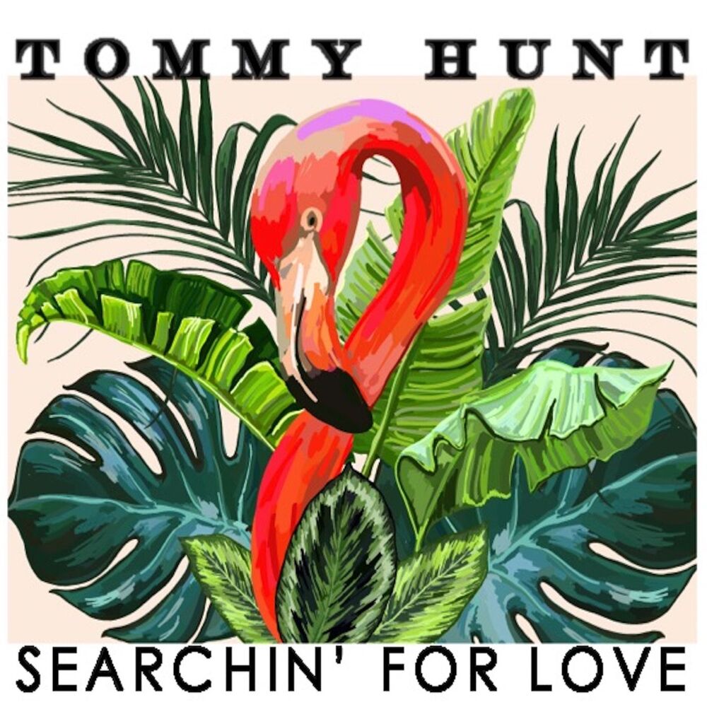 Picture of Searchin' for Love