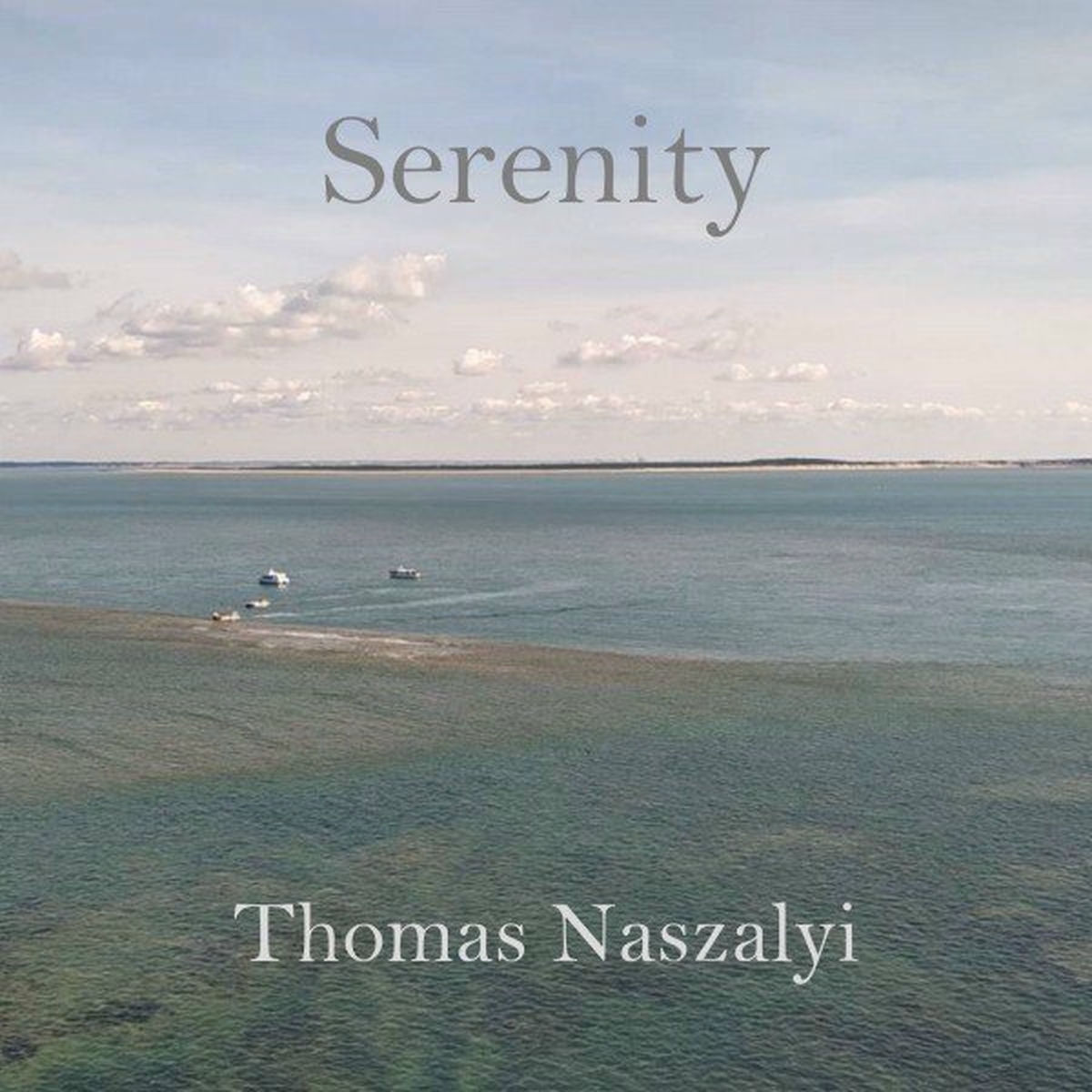 Album cover of Serenity