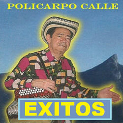 Cover of EXITOS