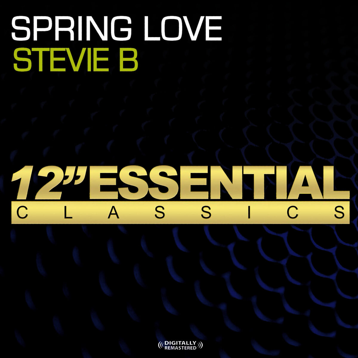 Album cover of Spring Love