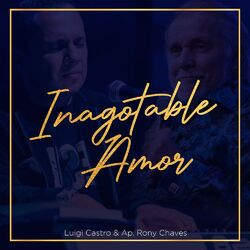Cover of Inagotable Amor