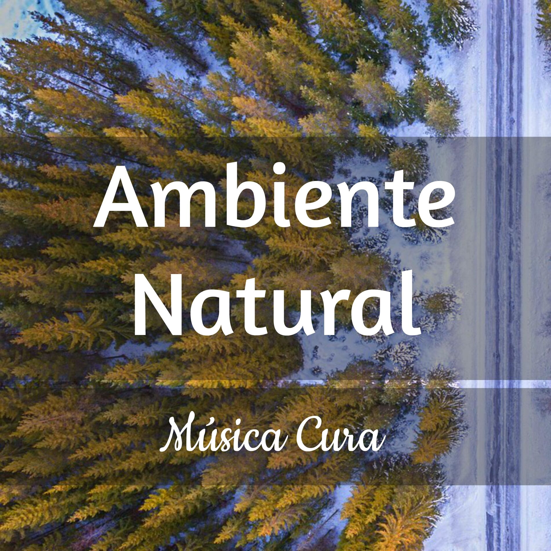 Album cover of Ambiente Natural - Música Cura para Estudar Aula de Meditação Melhorar A Concentração com Sons Binaurais Relaxantes