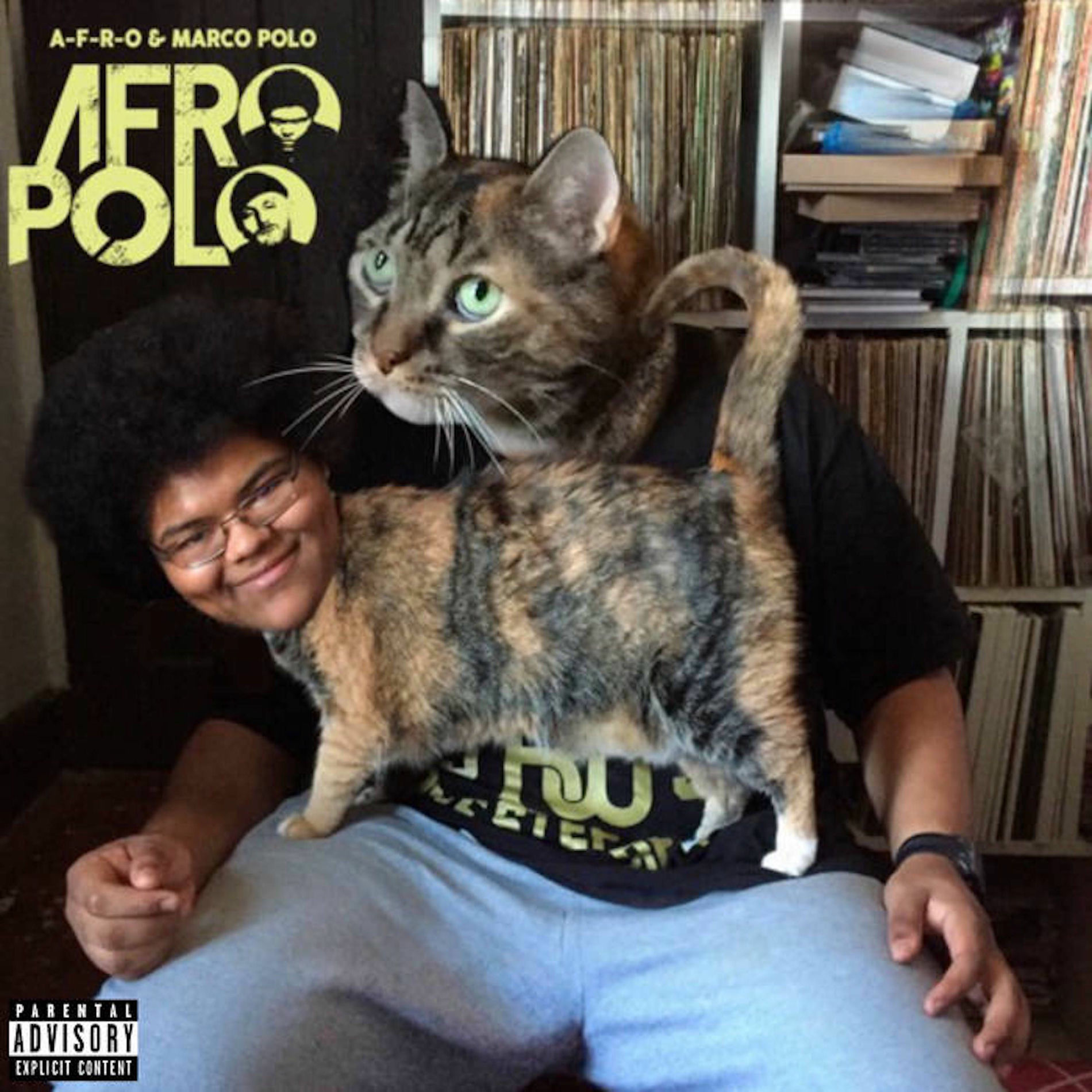 Album cover of A-F-R-O Polo