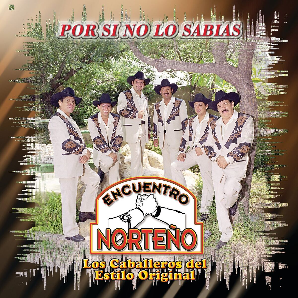 Album cover of Mi Problema