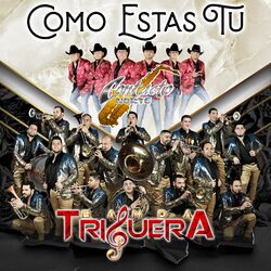 Cover of Como Estas Tu