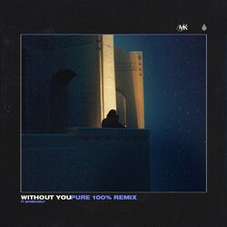 Cover of Without You (Pure 100% Remix)