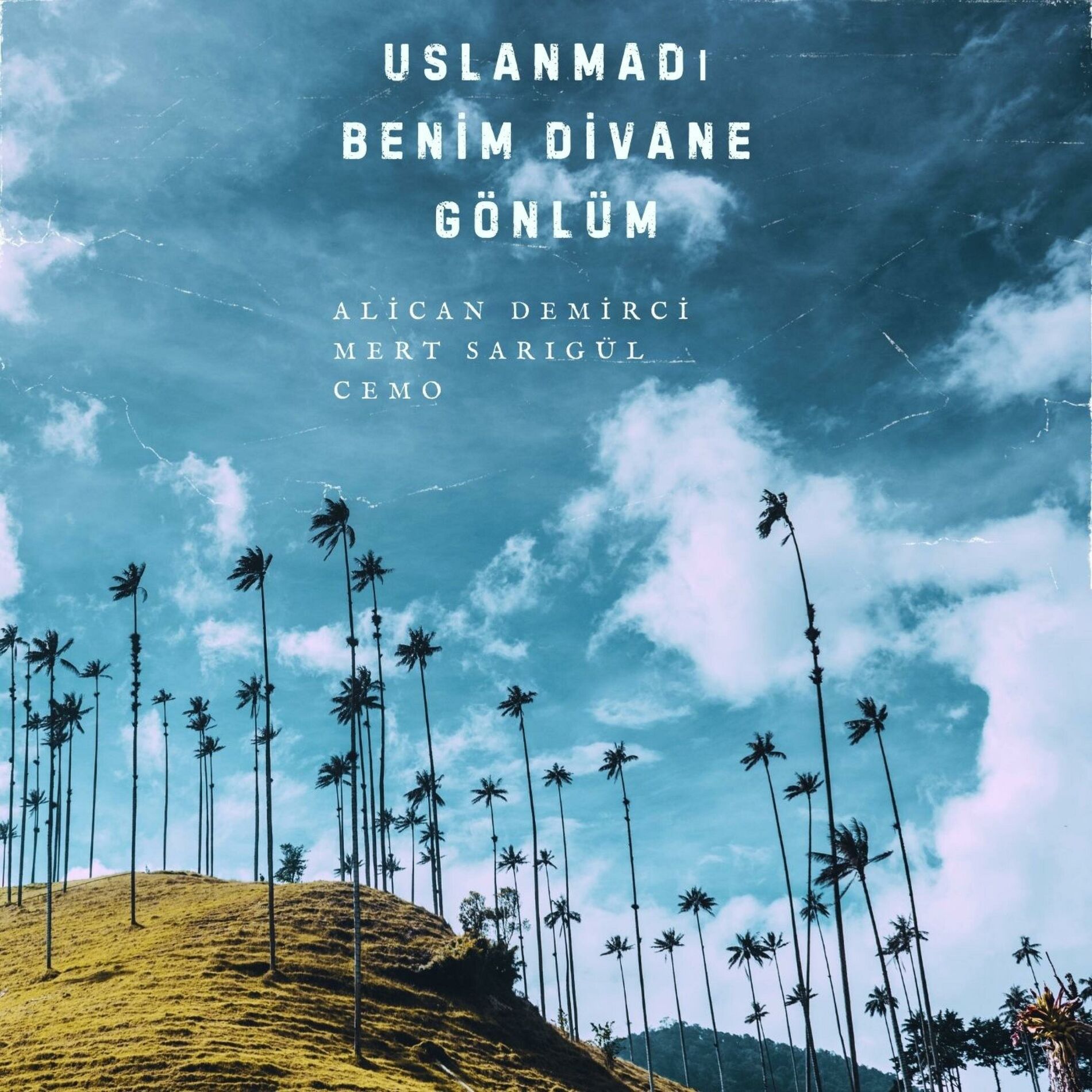 Album cover of Uslanmadı Benim Divane Gönlüm (feat. Mert Sarıgül & Cemo)