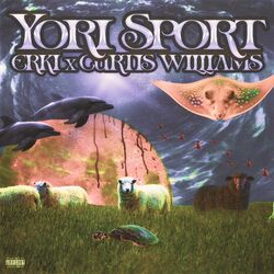 Cover of Yori Sport