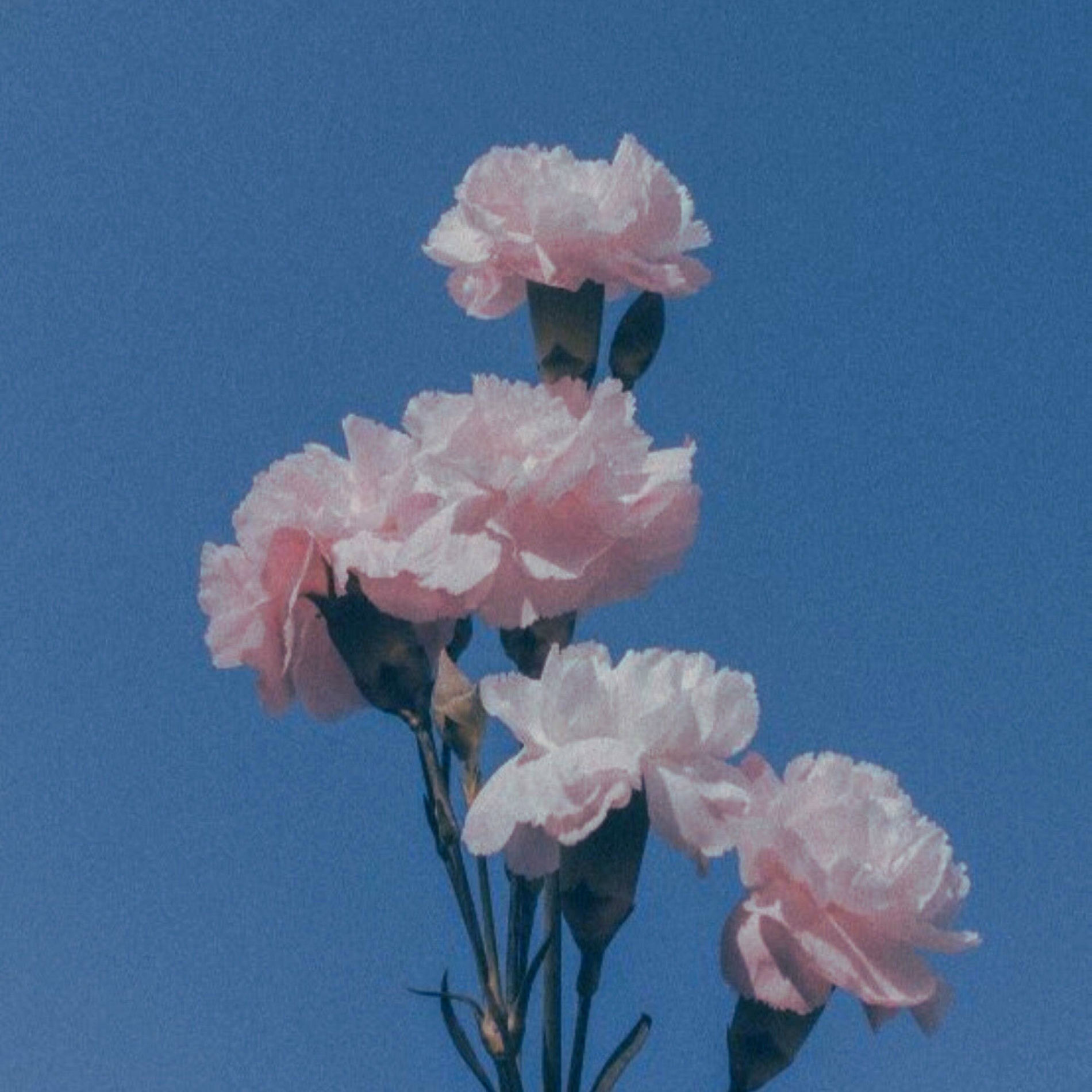Album cover of In the mood (Slowed)
