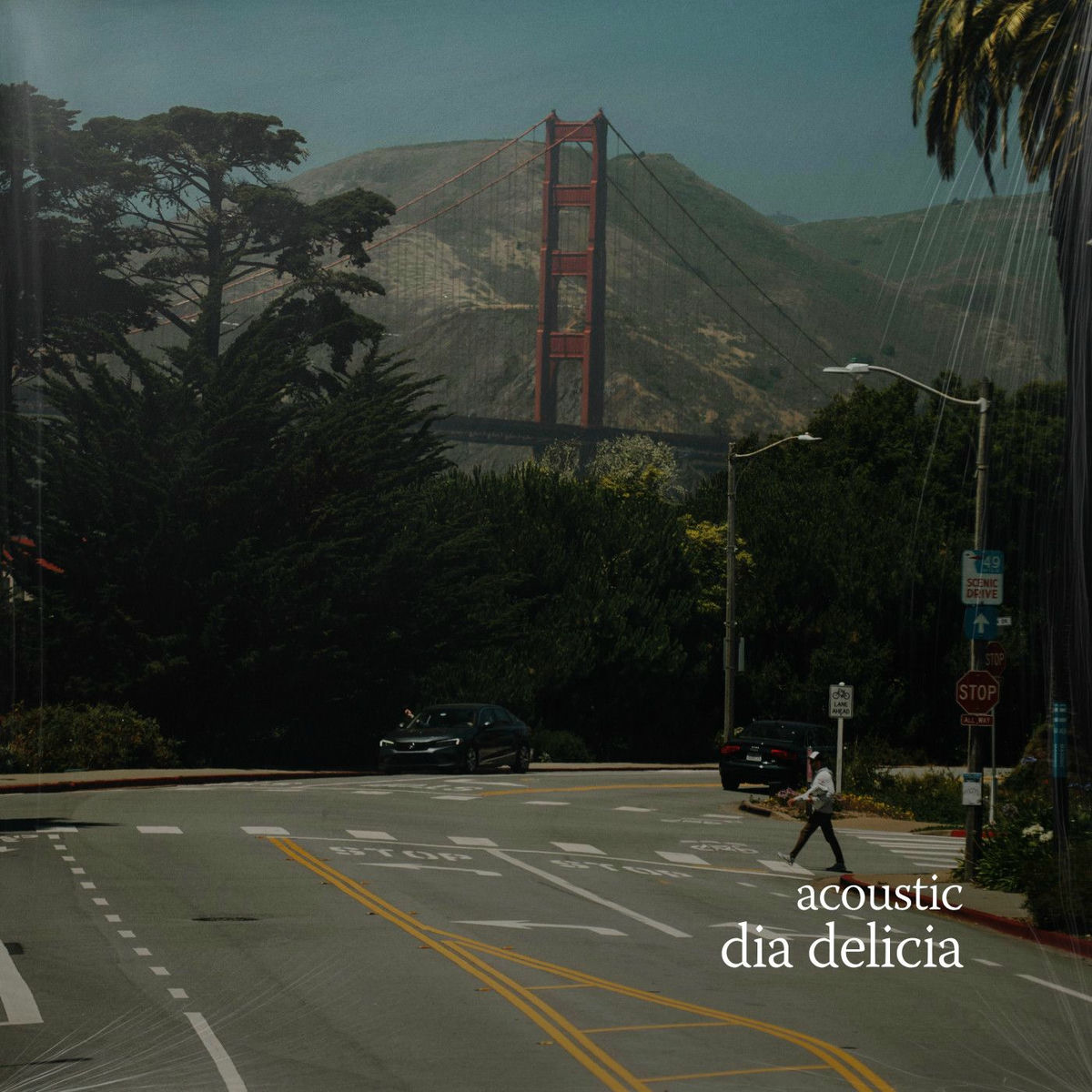 Album cover of dia delicia (acoustic)