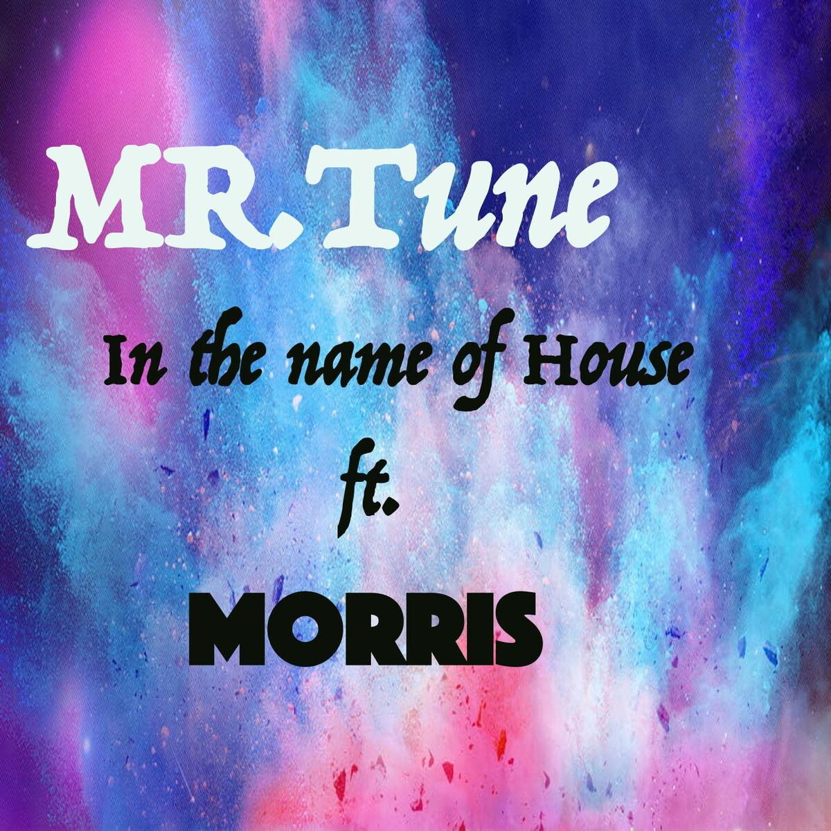 Album cover of In the name of House