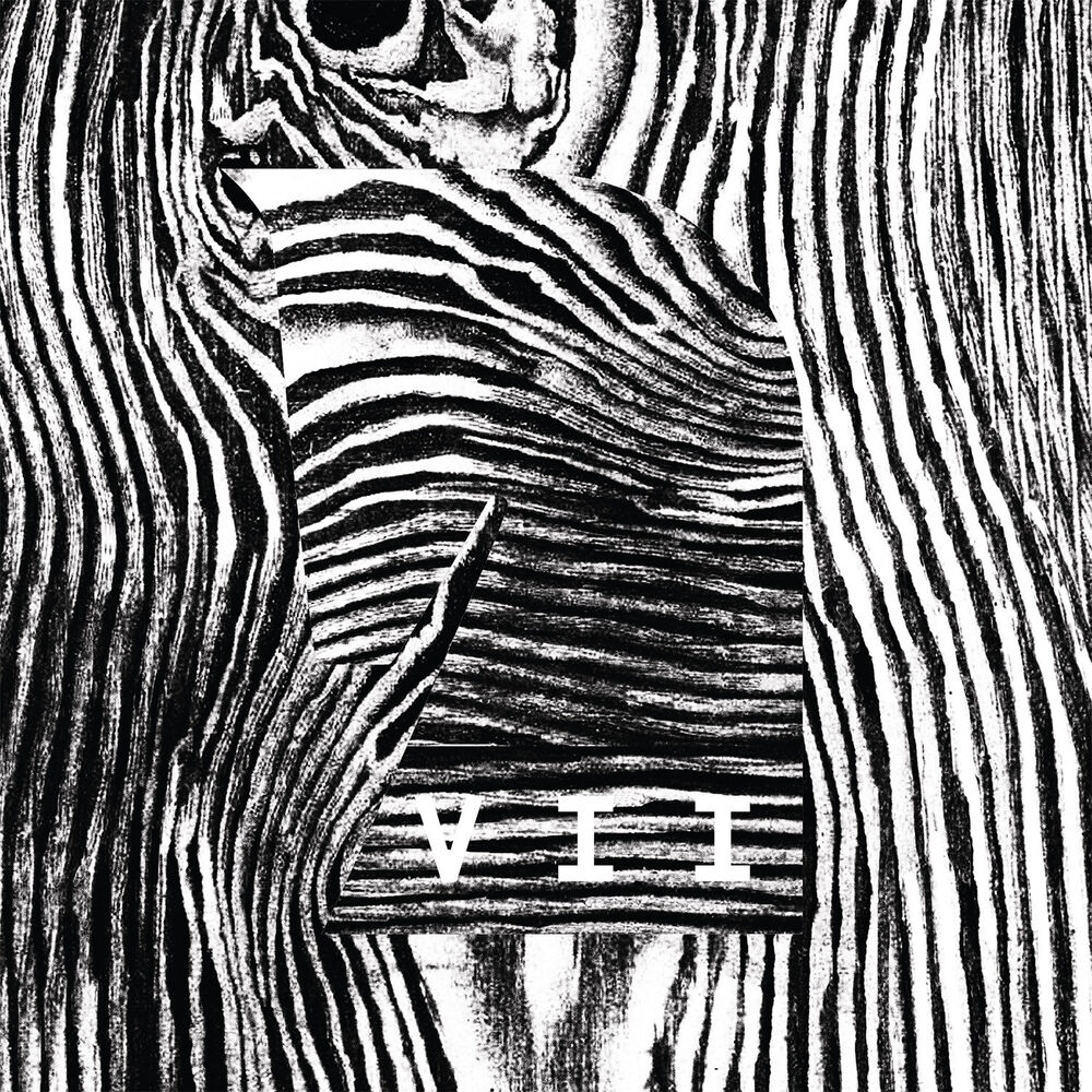 Picture of VII