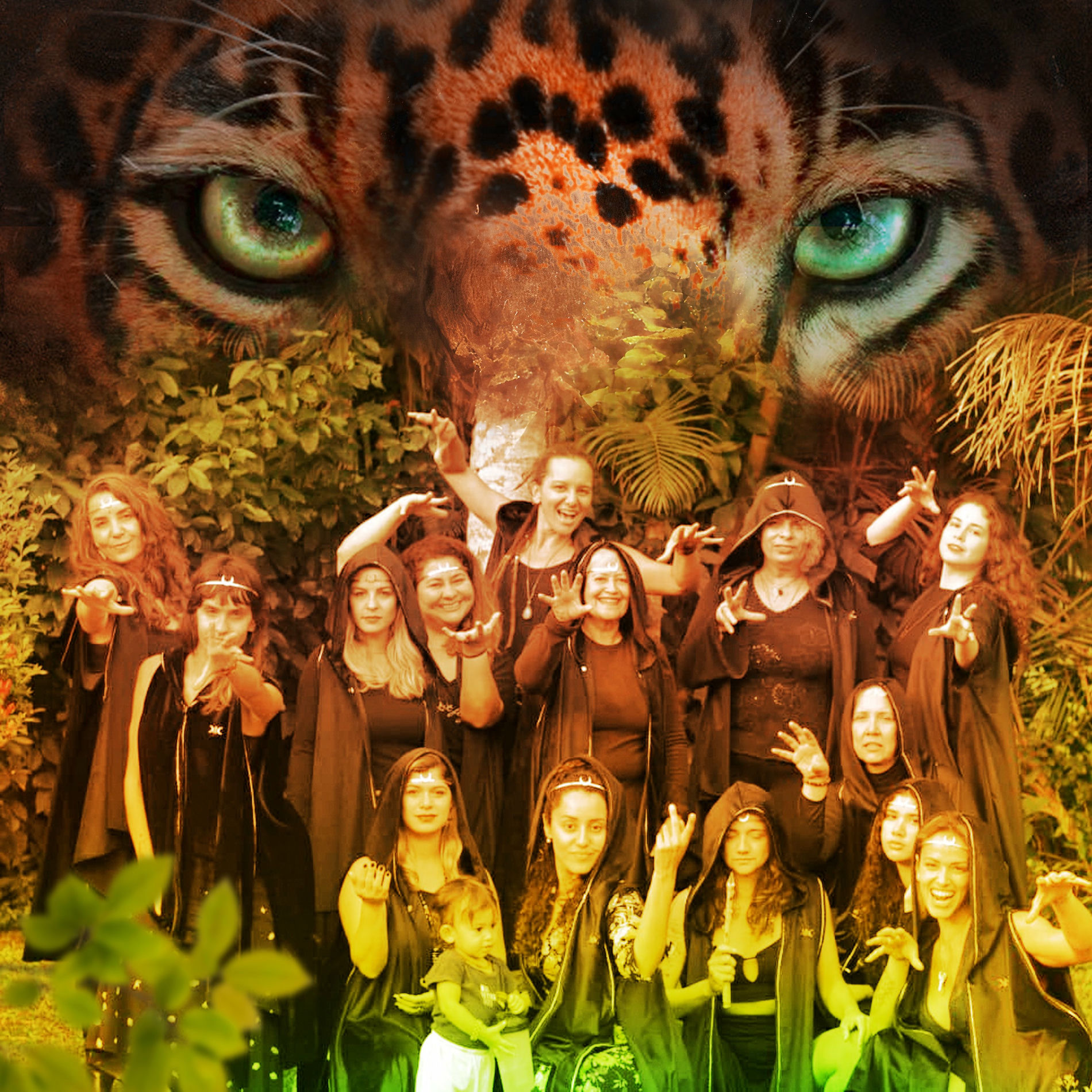 Album cover of Força Feminina