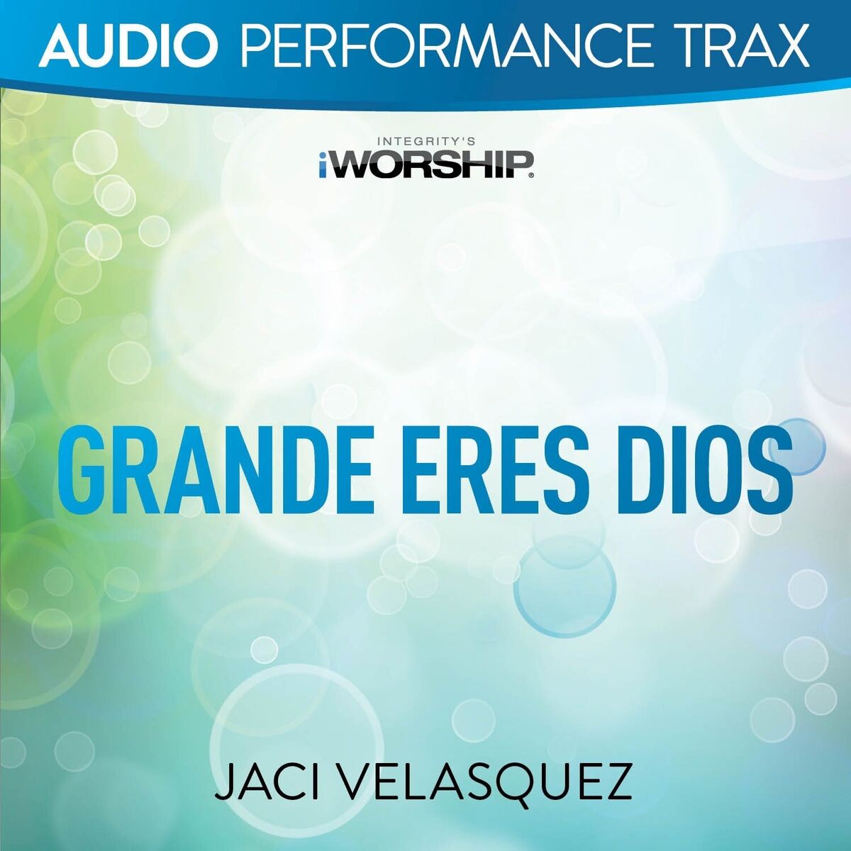 Album cover of Grande eres Dios