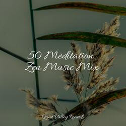 Cover of 50 Meditation Zen Music Mix