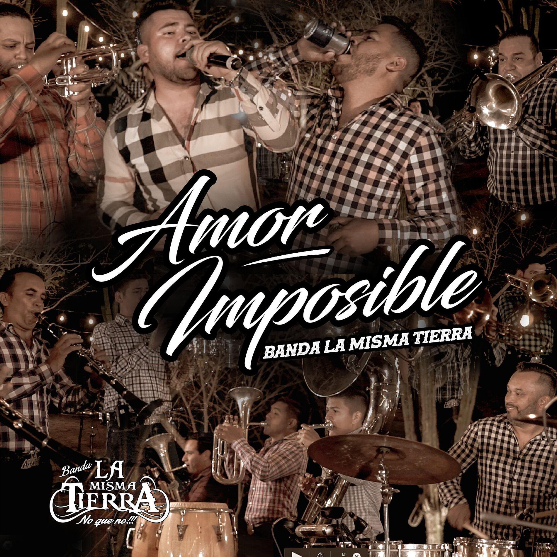 Album cover of Amor Imposible