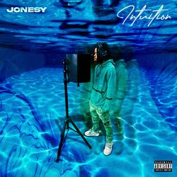 Cover of Intuition