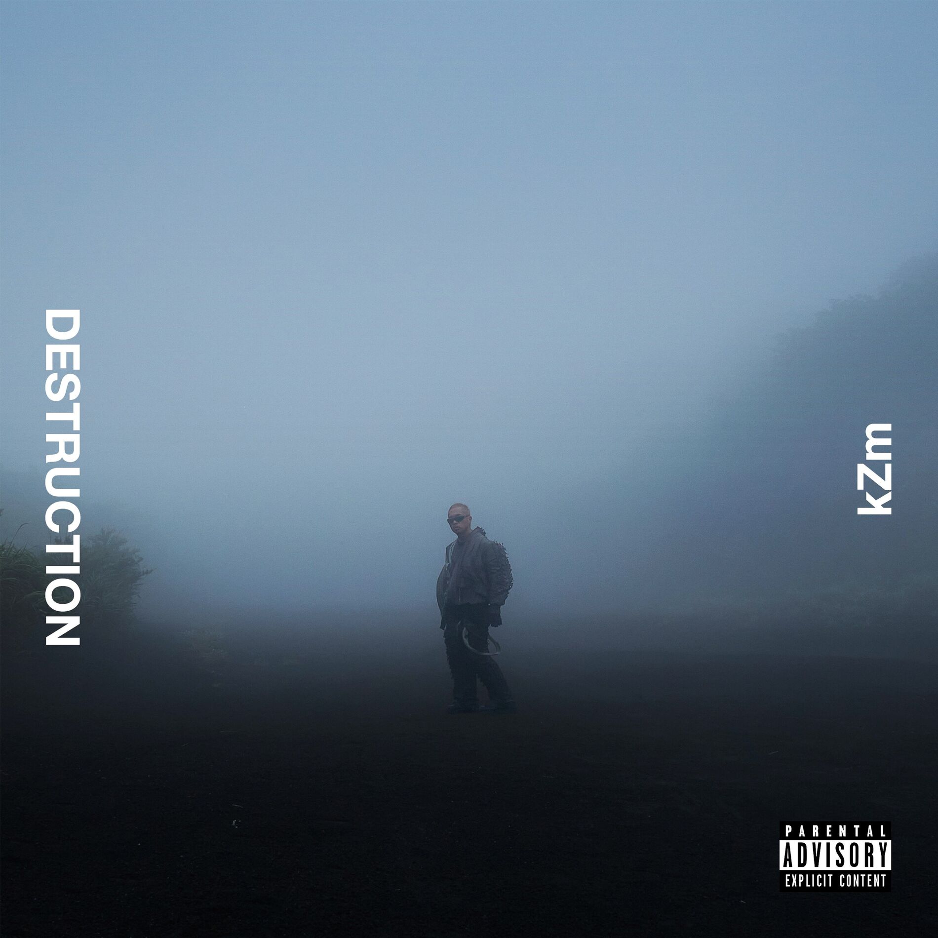 Album cover of DESTRUCTION