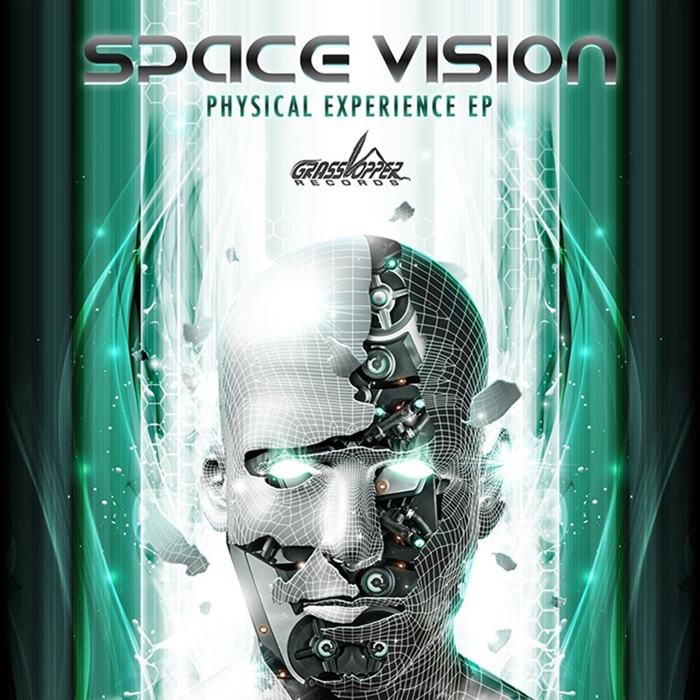Picture of The Physical Experience