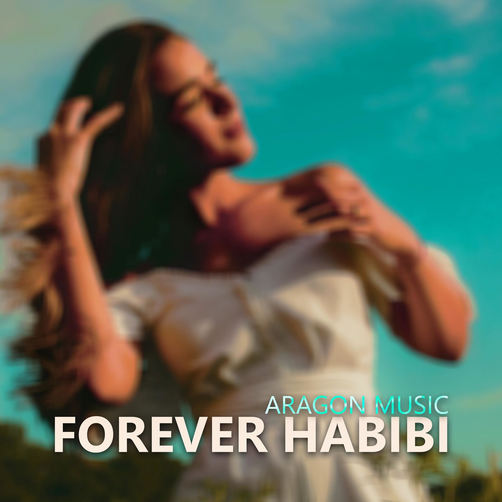 Album cover of Forever Habibi