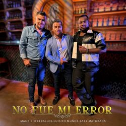 Cover of No Fue Mi Error (Remix)