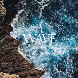 Cover of Wave