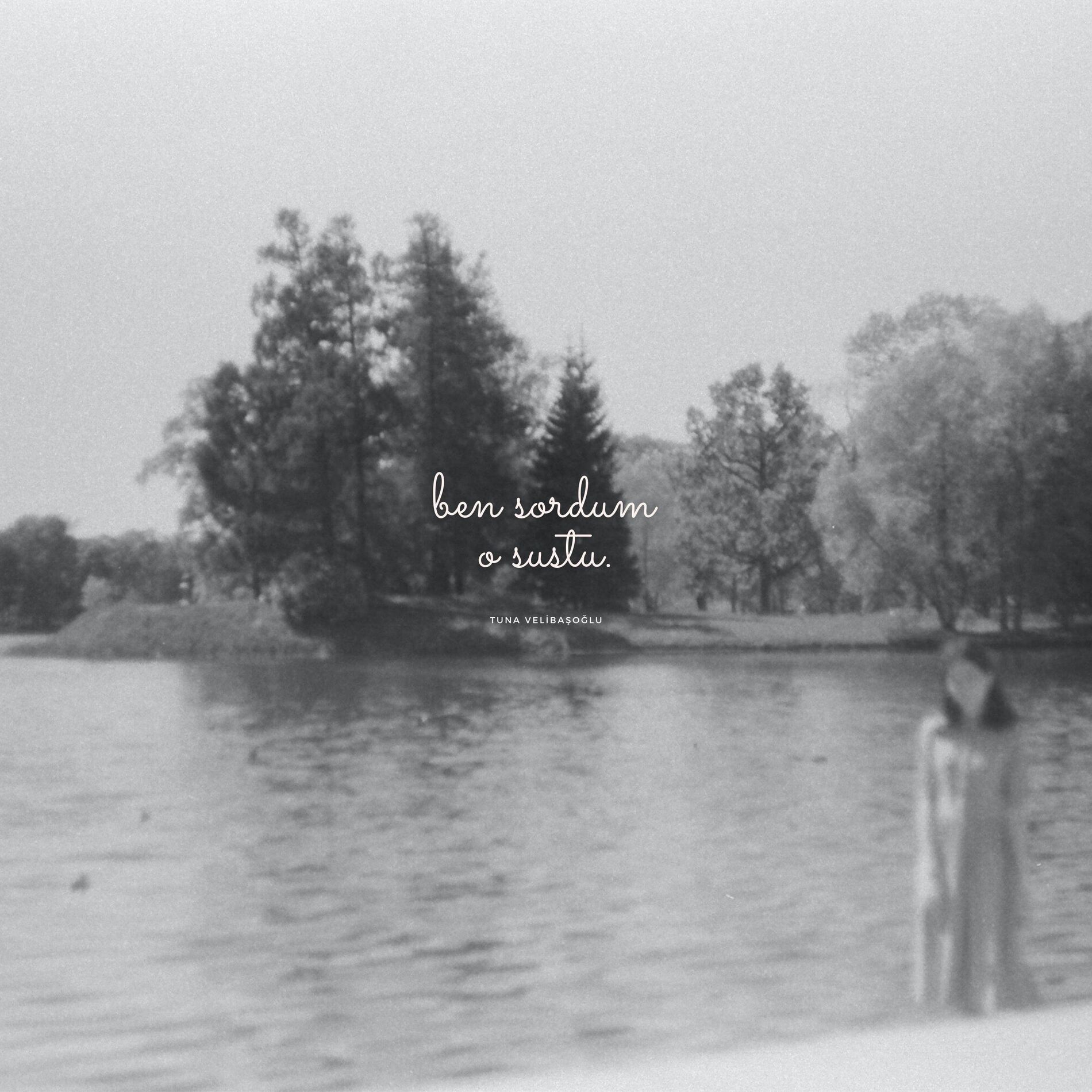 Album cover of Ben sordum, o sustu...