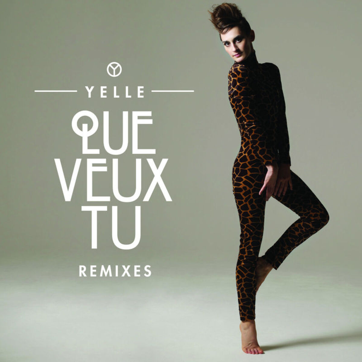 Album cover of Que Veux-Tu (Remixes)