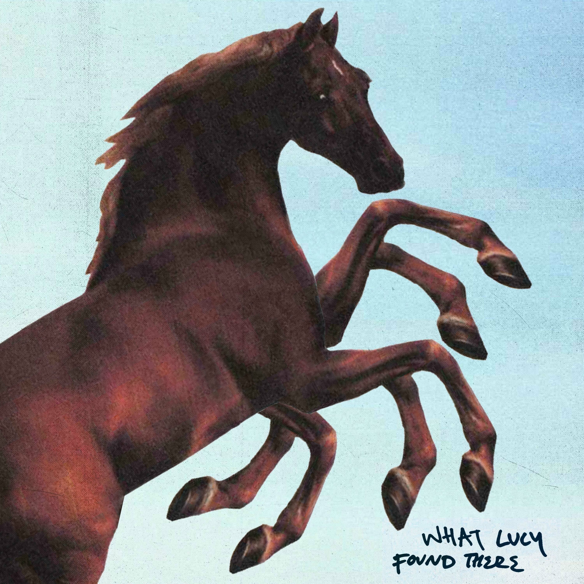 Album cover of What Lucy Found There