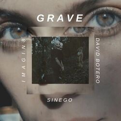 Cover of Grave
