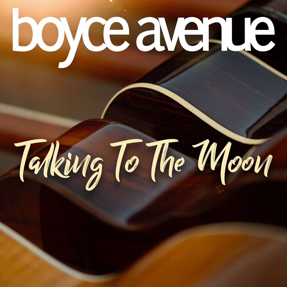Album cover of Talking to the Moon