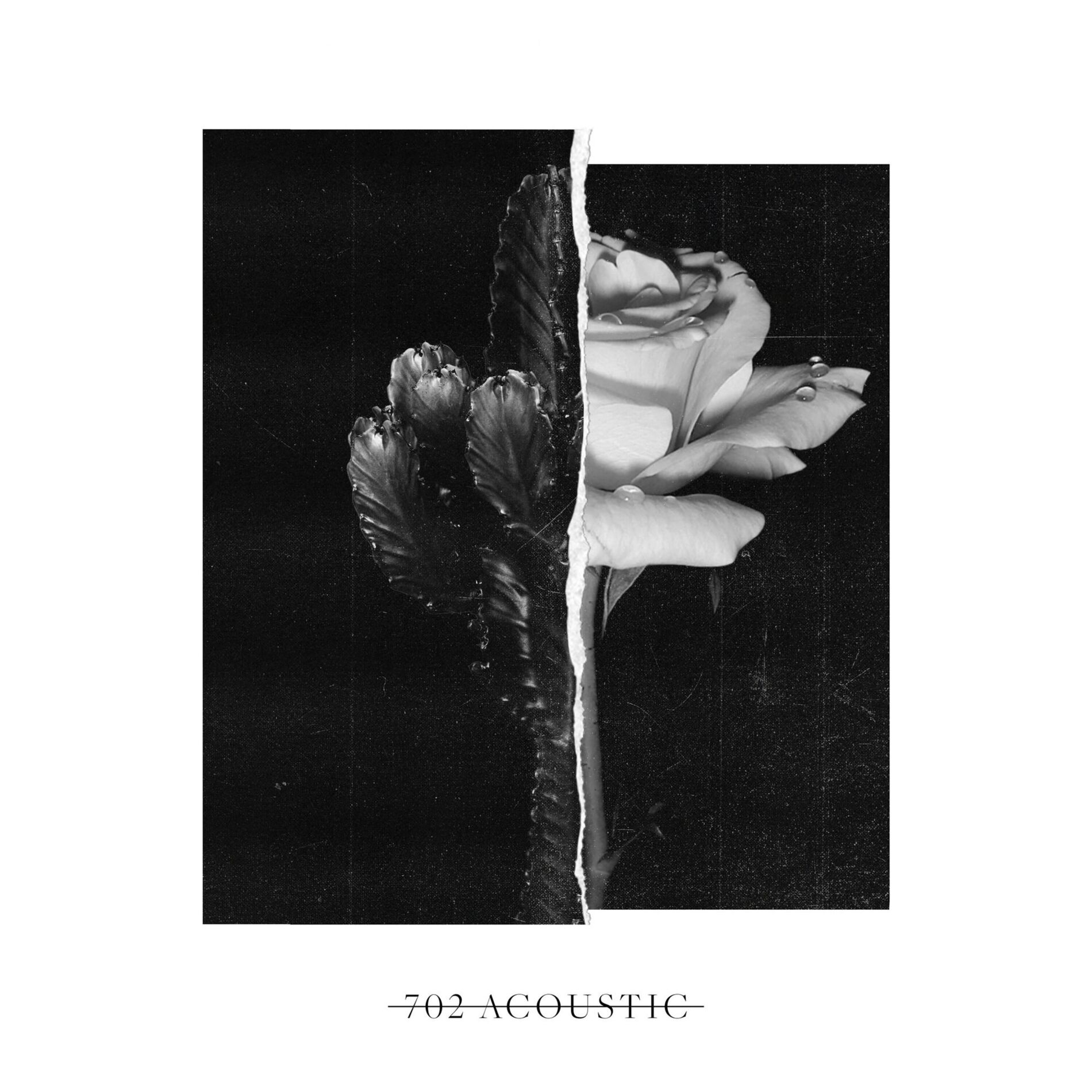 Album cover of 702 (Acoustic)