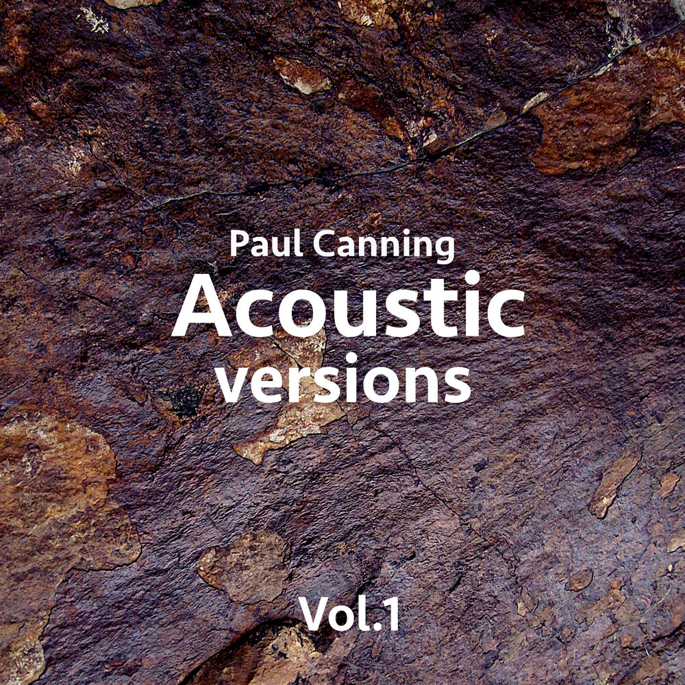 Picture of Acoustic Versions Vol.1