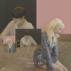 Cover of We loved