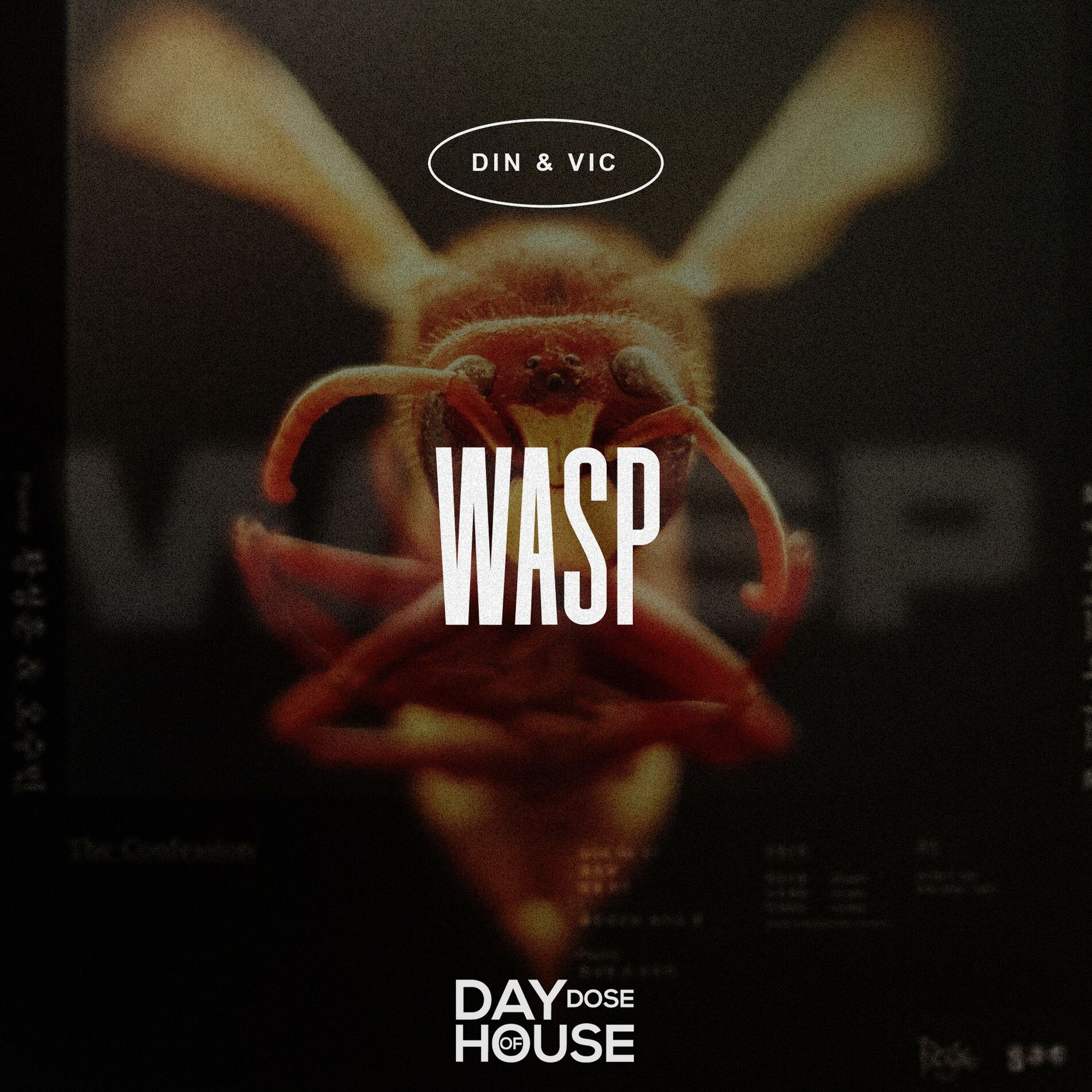 Album cover of Wasp