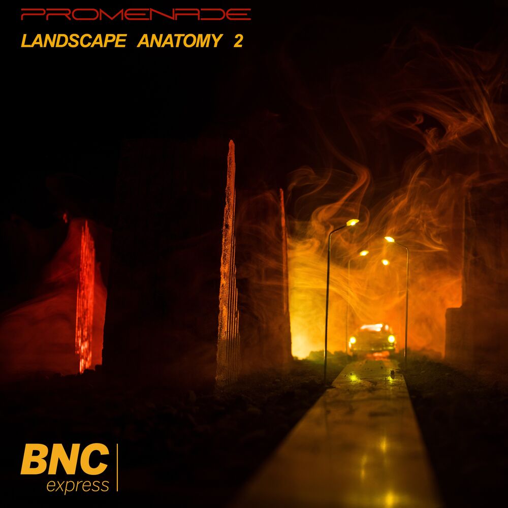 Picture of Landscape Anatomy #2