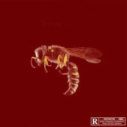 Cover of Dingue (Remix)