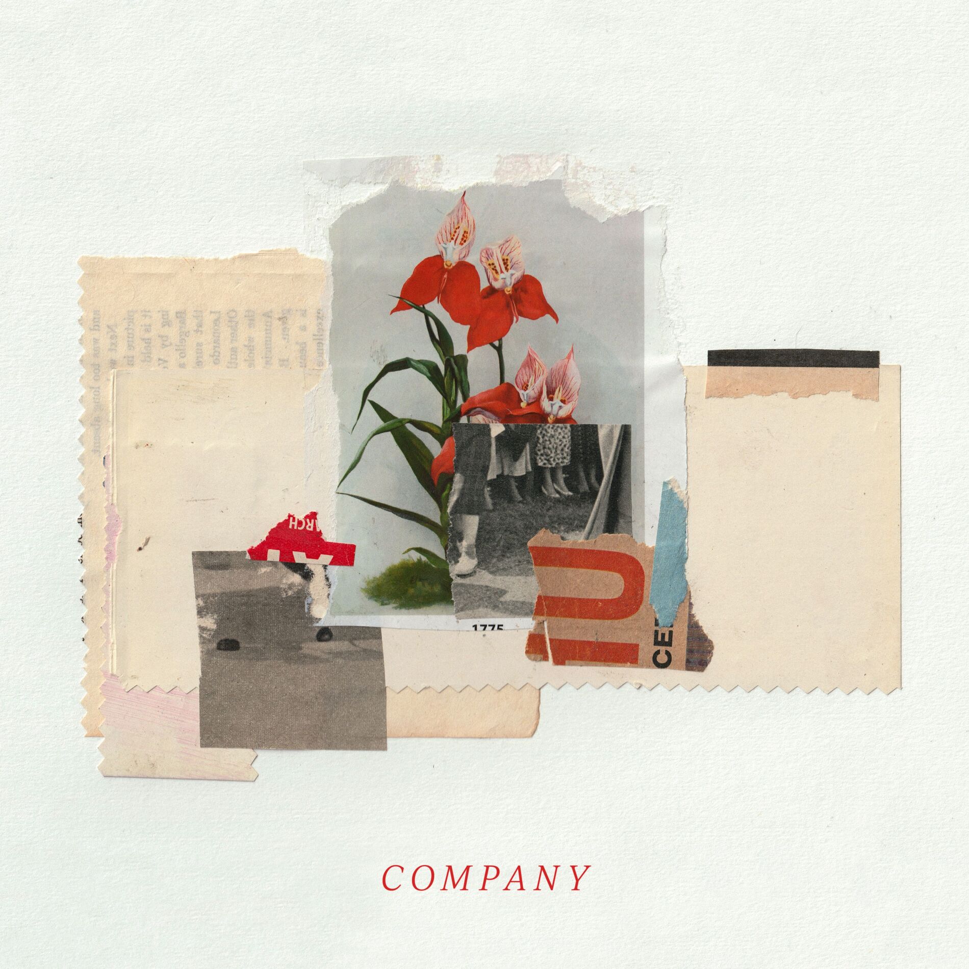 Album cover of Company