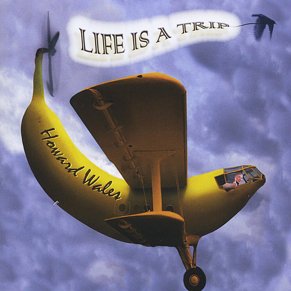 Picture of Life Is A Trip