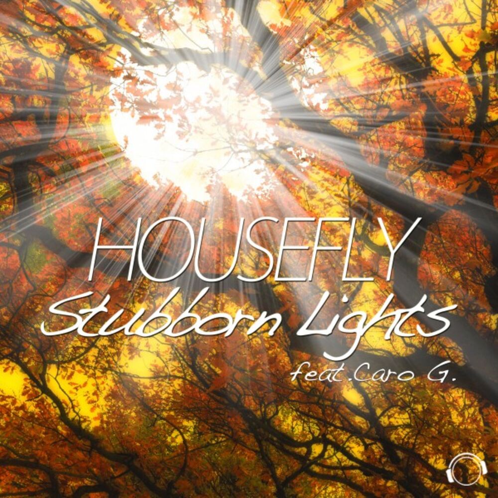 Picture of Stubborn Lights