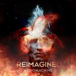Cover of Reimagined
