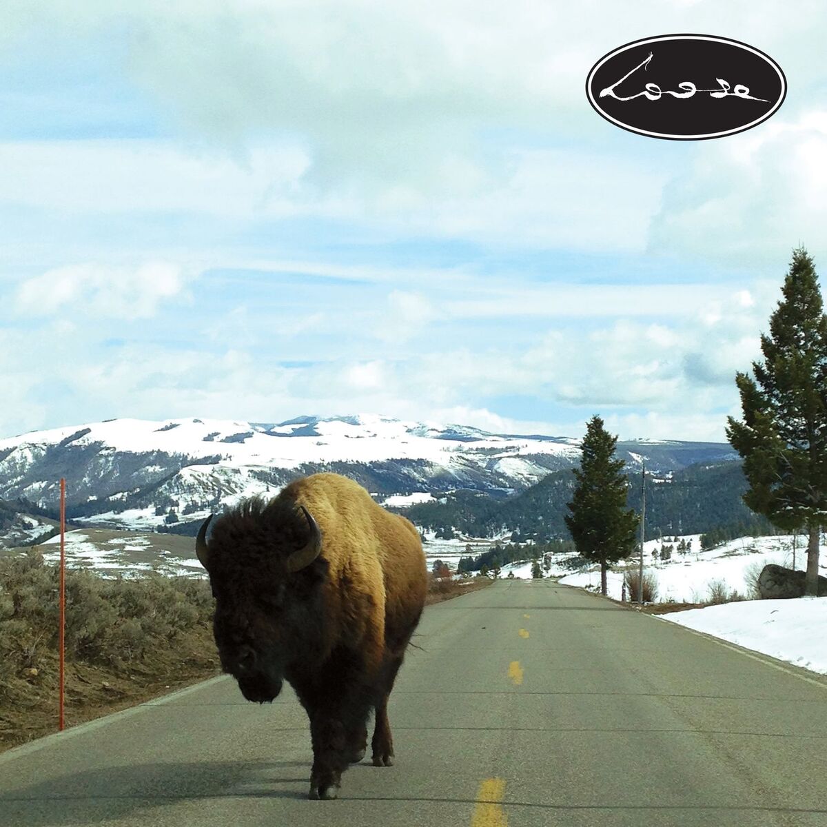 Album cover of This Is Loose