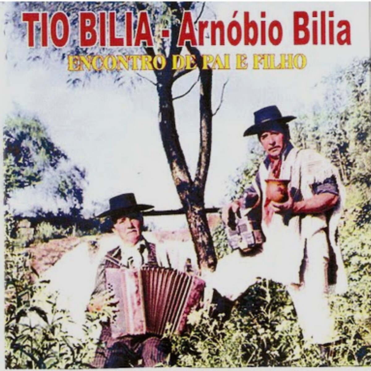Album cover of TIO BILIA E ARNÓBIO BILIA VOL 1 - ENCONTRO DE PAI E FILHO