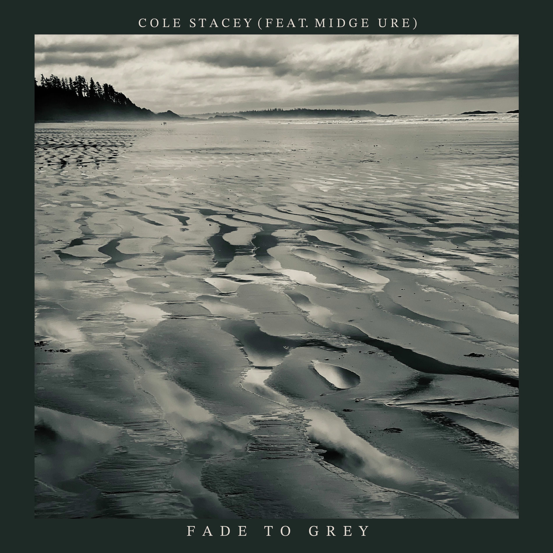 Album cover of Fade To Grey